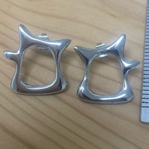 Tapley silver earrings